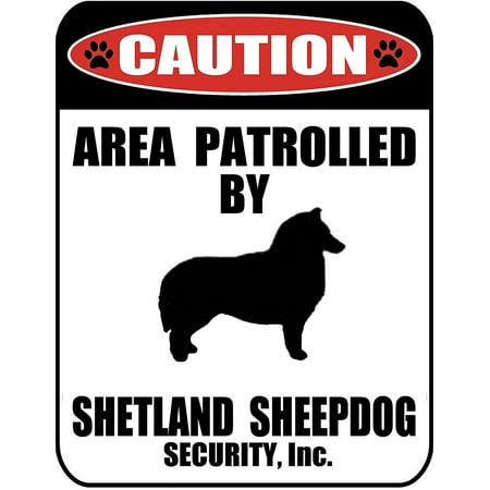 Gold Shetland Sheepdog - Caution Area Patrolled by a Shetland Sheepdog 9 inch x 11.5 inch Laminated Dog Sign