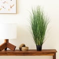 thumbnail image 6 of Vickerman 36" Artificial Potted Green Curled Grass., 6 of 6