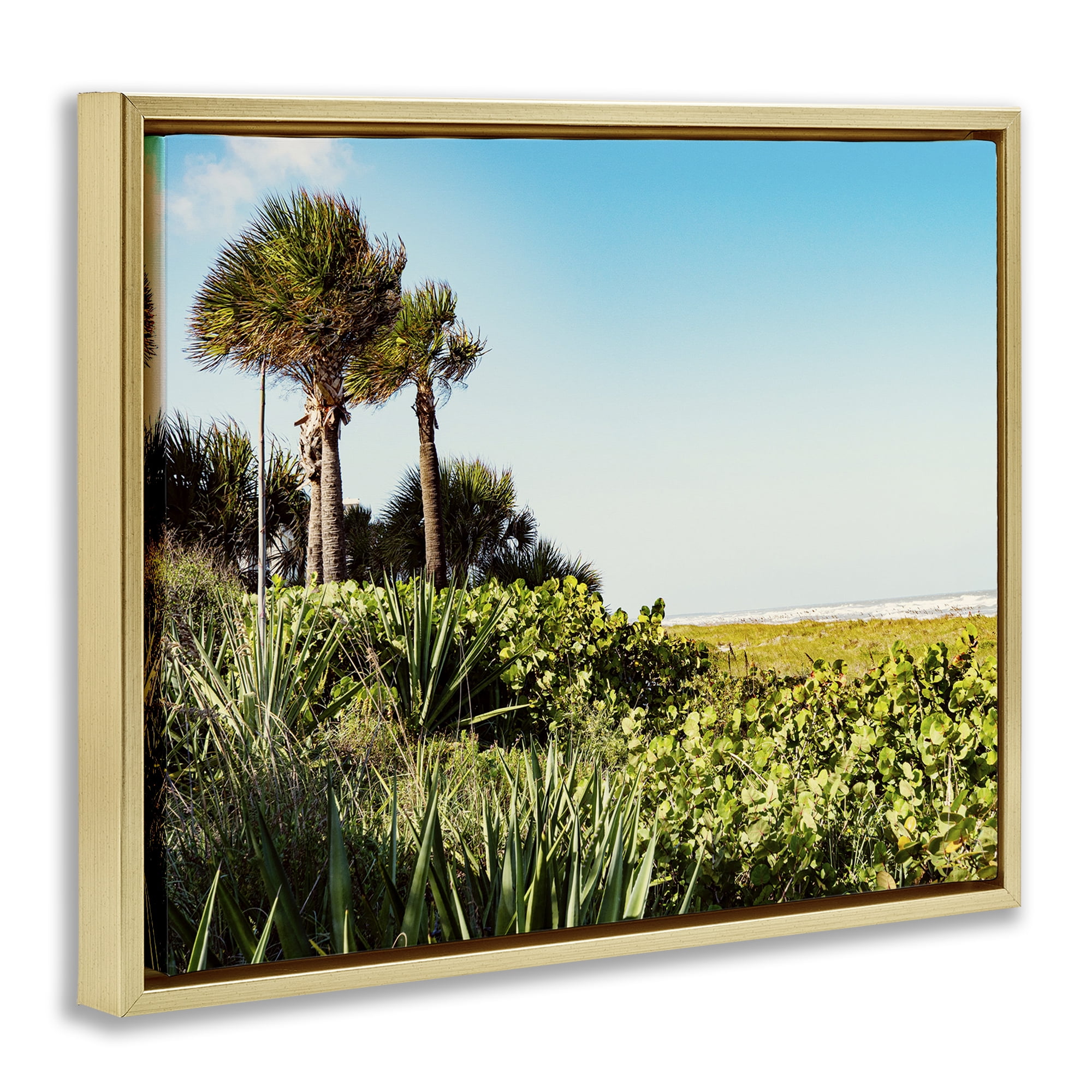 Stupell Industries Lush Tropical Shoreline Landscape Photography Gold Floater Framed Canvas Art Print Wall Art, 31 x 25