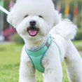 thumbnail image 4 of Dog Harness For Small Medium Large Dogs No Pull, Puppy Harness And Leash Set, Easy Walk Dog Harness For Walking, Running, Training, 4 of 5