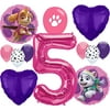 Paw Patrol Girls Party Supplies Balloon Decoration Bundle for 5th Birthday