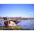 Cuddeback Model E2 Long Range IR Infrared Micro Trail 20MP Game Hunting