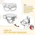 thumbnail image 4 of Gafas de sol para perros y gatos pequeños Gafas de sol cómodas para mascotas, 4 of 5