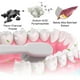thumbnail image 4 of Fiudx Liquidación De Ofertas Flash Pasta De Dientes De 100 G Para Dientes Sólidos Con Caries Amarillas Y Pasta De Dientes Para Aliento Fresco, 4 of 6