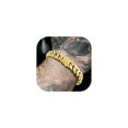 thumbnail image 1 of Pulsera Richsteel de acero inoxidable chapado en oro para hombre, 1 of 7