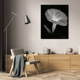 thumbnail image 3 of Vitaly Geyman 28x37 Gallery Wrapped Canvas Wall Art Titled - Morning Glory I, 3 of 4