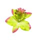 thumbnail image 1 of Horquilla Sonducket con patrón de flores Verde, Accesorio para el cabello, AP012915-05, 1 of 6