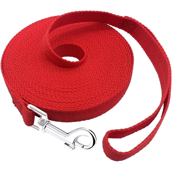 Nylon Dog Leash, for Medium Large Dogs Walking, Training or Exploring, 10 feet Long 1 inch Wide