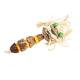 thumbnail image 4 of M Buder Parrot Nut Chew Toys Natural Healthy Hand Knitted Bite Resistant Bird Hanging Wood Blocks Chew Toy 8.66 inches / 22 cm, 4 of 9