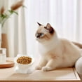 thumbnail image 1 of Ceramic Pet Dish with Slanted Cat Head Design for Stable Non-Tip Feeding and Water Drinking, 1 of 4