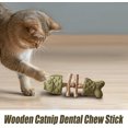 thumbnail image 2 of Fix Cat Dental, Natural Dental Chew for Cats, Fishbone Shape Cat Teething, Cat Chew with Catnip, Durable Feline Tooth Care Tool (A), 2 of 8