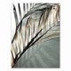 thumbnail image 1 of Pintura en lienzo de Arte de plantas de hojas de palma, Aloe botánico s e impresiones, imágenes de pared modulares para sala de estar, decoración del hogar, 1 of 4