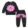 thumbnail image 2 of LSLJS Toddler Kids Baby Boys Girls Daisy Print Pullover Tops+ Pants Set Outfits, Kids Clothes, 2 of 7