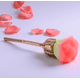 thumbnail image 4 of Large capacity foundation brush, face makeup brush, blush brush for liquid, powder, polish, 4 of 4