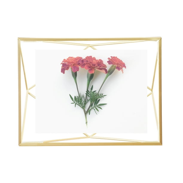 Umbra Prisma 4x6 Picture Frame For Desktop Or Wall Holds One 4 X6 Photo Matte Brass Com - Umbra Crepe Flowers Wall Decor Umbra Prisma 4x6 Picture Frame For Desktop Or Wall Holds One 4 X6 Photo Matte Brass Com - Umbra Crepe Flowers Wall Decor