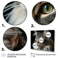 thumbnail image 3 of Designart "Feline Gaze II" Animals Floater Framed Canvas Wall Art, 3 of 7