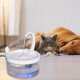 thumbnail image 3 of Fuente de agua automática DQrwqpou para gatos Filtro para beber Dispensador de agua, 3 of 7