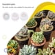 thumbnail image 3 of Molde de maceta de planta de silicona Bearachild Flexible DIY tipo 3, 3 of 6