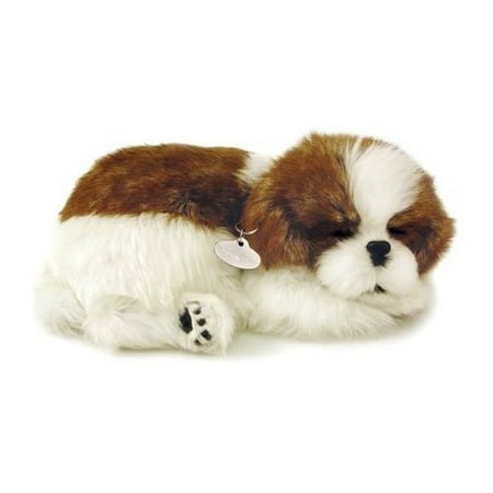 Shih Tzu Schnauzer - Shih Tzu Puppy By Perfect Petzzz