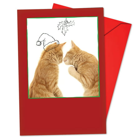 B6583IXSG Cats & Doodles Christmas Cards' Box Set of 12 Funny Merry Christmas Note Cards with Envelopes by