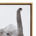thumbnail image 3 of Kate and Laurel Sylvie Safari Animal Collection Framed Canvas Wall Art by Amy Peterson Art Studio, Set of 6, 13x13 Natural, Decorative Animal Art for Wall, 3 of 8
