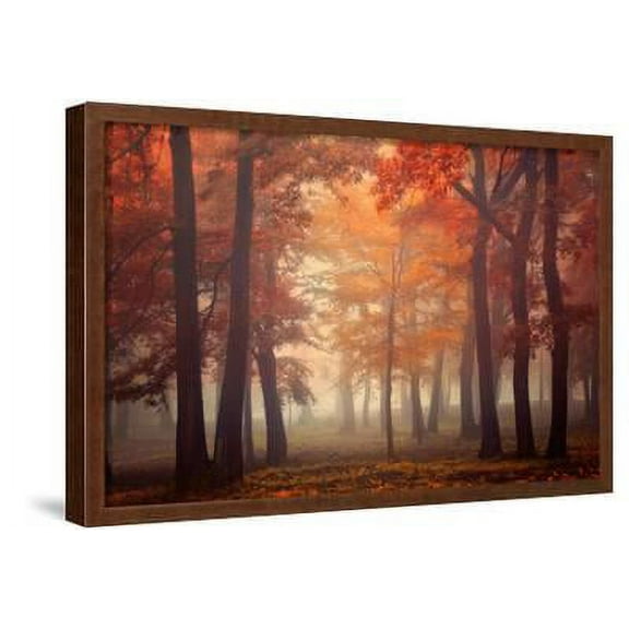 Feel, Scenic Seasons Framed Art Print Wall Art by Ildiko Neer Sold by Art.Com
