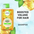 thumbnail image 2 of Herbal Essences Body Envy Volumizing Shampoo, 29.2 fl oz, 2 of 8