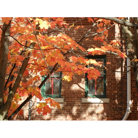 LAMINATED POSTER New England Leaves Fall Red Brick Orange Autumn Poster Print 24 x