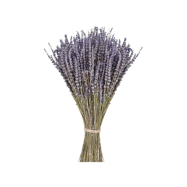 Bewildely Paquetes de lavanda seca natural lavandas cosechadas ligeras hermoso ramo de flores para boda DIY fiesta en casa Decoración del hogar Lavanda seca 100 gramos Bewildely HA084088-02