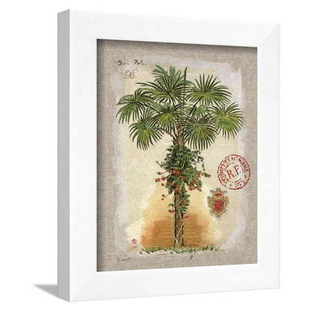 Linen Fan Palm Tree Framed Print Wall Art By Chad Barrett