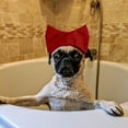 thumbnail image 4 of Reusable Pet Ear Shower Hood for Safe Bathing Grooming and Swimming Activities, 4 of 5