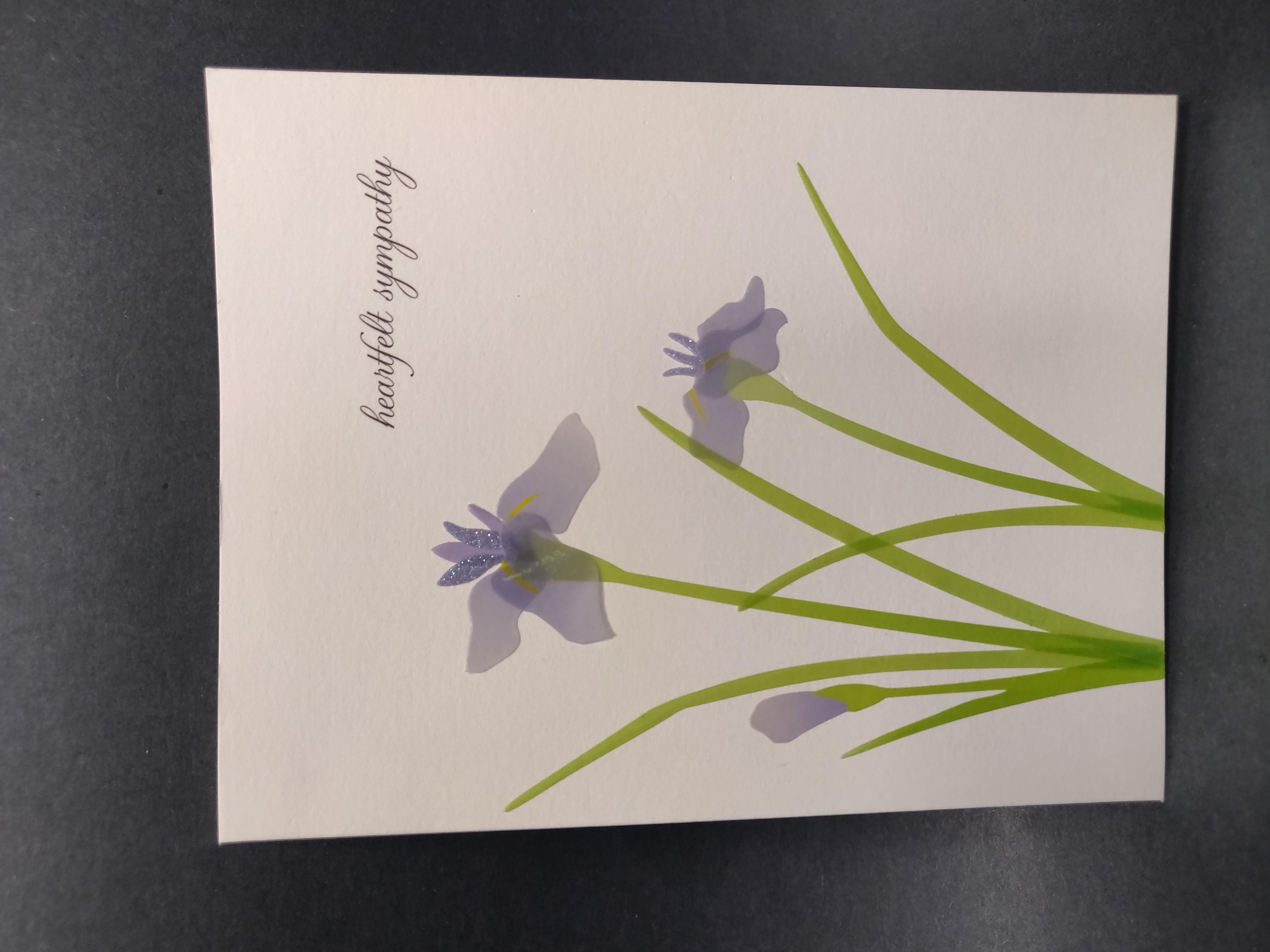 Papyrus Sympathy Card (Our Deepest Sympathy and Our Love)