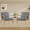 Darkgrey-2pc, variant on SAETSFEG Mid-Century Accent Chair with Pillow, Upholstered Armchair with Solid Wood Frame & Thick Cushion for Living Room, Bedroom, Small Space, Blue