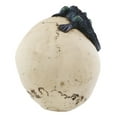 thumbnail image 2 of Large Dracula Fanged Skull With Iguana Statue Halloween Spooky Decor Figurine, 2 of 6