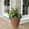 thumbnail image 2 of Algreen Olympus 16" Self-Watering Planter, Terra Cotta Resin, 2 of 5