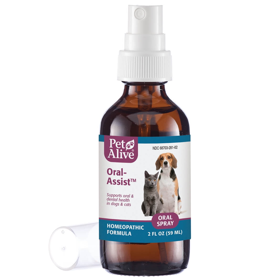 are homeopathic remedies safe for dogs