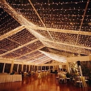 Novelty Lights 50 Light LED Twinkle Christmas LED Mini Light Set, Outdoor Fairy Wedding String Lights, Warm White, Green White, 25 Feet
