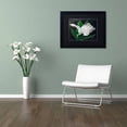 thumbnail image 3 of Trademark Fine Art 'Gletcher Tulip' Canvas Art by Lily van Bienen, Black Matte, Black Frame, 3 of 4