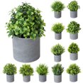 thumbnail image 1 of Travelwant Mini Artificial Plants Fake Plants Faux Green Bonsai Potted Faux Green Grass Fake Grass Plant Topiary Shrubs with Pots for House, Farmhouse, Bathroom, Office, Home Decor, 1 of 2