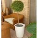 thumbnail image 4 of Maceta Plastico Redonda con Drenaje, 38 cm x 33 cm blanco 6.49 pulg Elly Decor ED-MRP01WH, 4 of 14