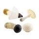 thumbnail image 4 of 4 piezas modelo de seta artificial cognición juguete adornos accesorios Mini figuritas Blanco perfke Estatuas en miniatura, 4 of 9