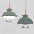 thumbnail image 4 of FSLiving Hanging Swag Lamp No Wiring Needed Wooden Handle Pendant Light with UL 15ft Plug-in On/Off Dimmer Switch Cord Macaron Green Lamp Nordic Minimalist for Store,Bulb Sold Separately - 1 Light, 4 of 10