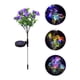 thumbnail image 5 of KAKOWELY 1 lámpara solar decorativa de suelo con forma de flor de clavel, lámpara solar LED para césped, 5 of 5