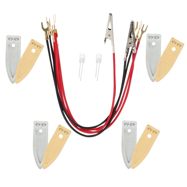 STRANDCHIC 5Pack DIY Fruit Electricity Kit Science Experiment for Kids Hands-on Ability