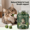 thumbnail image 6 of Hackerdom Freeze Dried Cat Grass Treats for Indoor Cats, Natural Hairball Remedy & Dental Cat Treats, 6 of 8