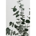 thumbnail image 3 of 1x Studio III 11x14 Black Modern Framed Museum Art Print Titled - Eucalyptus Natural 07, 3 of 5