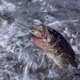 thumbnail image 5 of 3 unids/caja pesca Wobbler realista señuelo de pesca cebo duro 8 segmentos Swimbait (B), 5 of 6