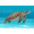 thumbnail image 3 of OToole, Tim 14x11 Black Modern Framed Museum Art Print Titled - Ocean Sea Turtle I, 3 of 5