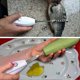 thumbnail image 5 of Automatic Fruit Pitcher Vegetable Pitcher Fish Cleaning Scraper, 5 of 5