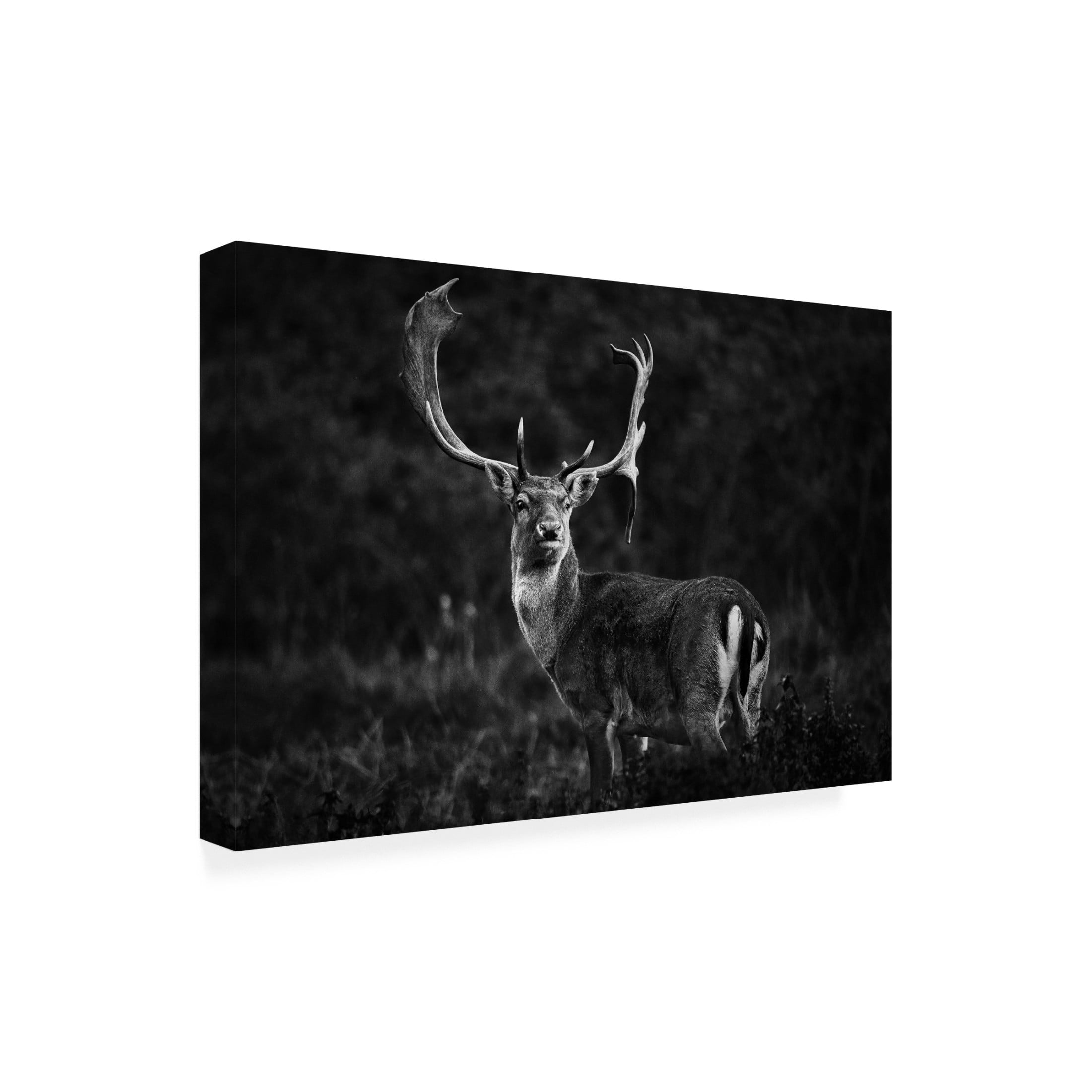 Trademark Fine Art Riccardo Mazzoni Ready For The Love Season Canvas Wall Art